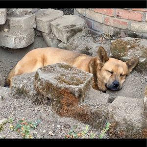 Meet your Posher, Lori